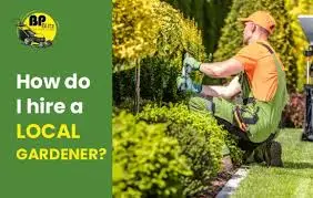BP Blitz Garden Maintenance and Landscaping Services